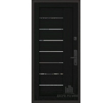дверь Regidoors ФЛАГМАН ДОМИНИОН LIGHT 2110 с зеркалом "Шоко велюр"
